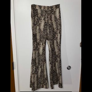 Cheetah Flare Plants